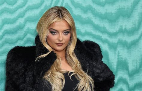 bebe rexha net worth|Her Fortune Was Meant to Be! Find Out Singer